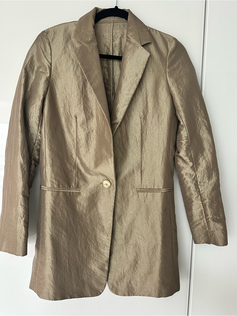 Massimo Dutti Metallic Taupe Single-Button Blazer